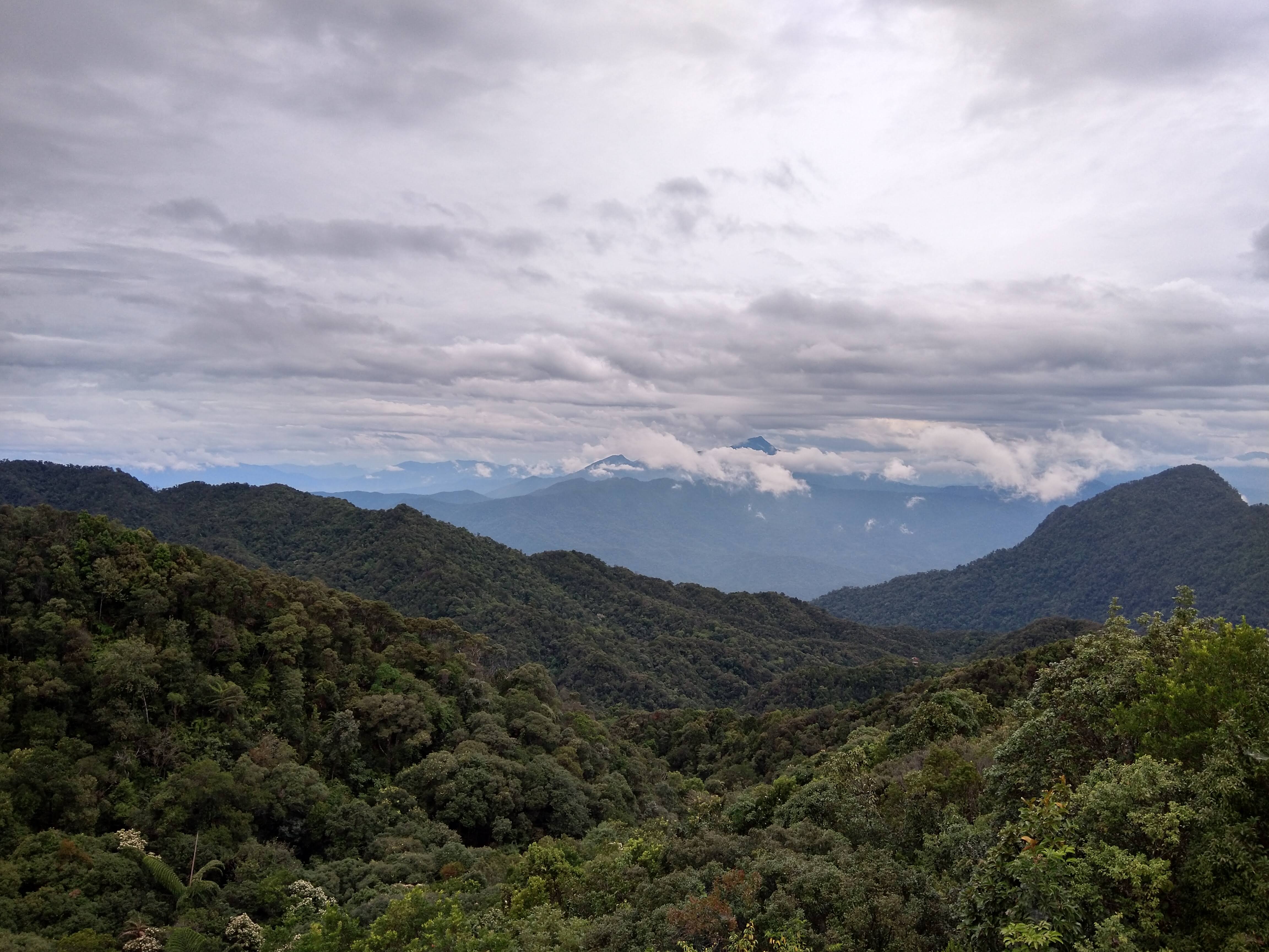 sa-mu-pass-bac-huong-hoa-natural-reserve